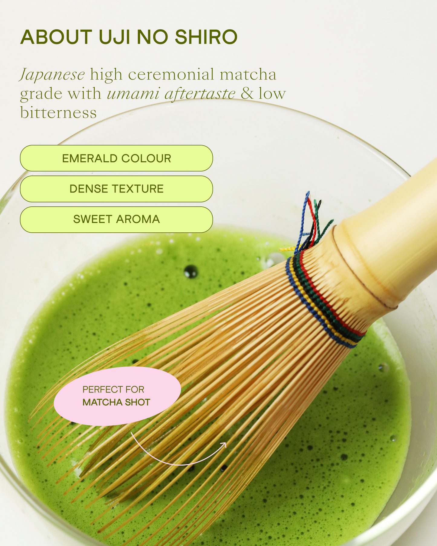 Ceremonial Matcha Uji no Shiro 40g, Uji, Kyoto