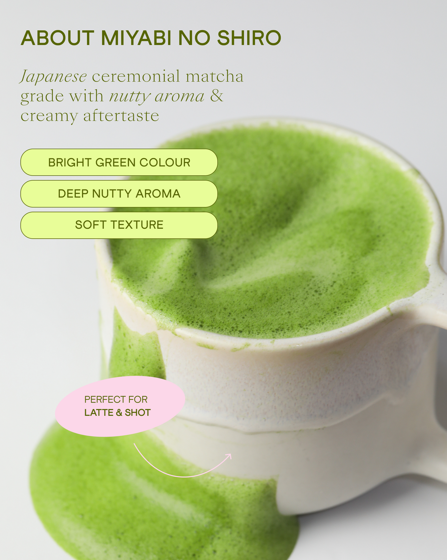 Ceremonial Matcha Miyabi no Shiro 40g Uji, Kyoto