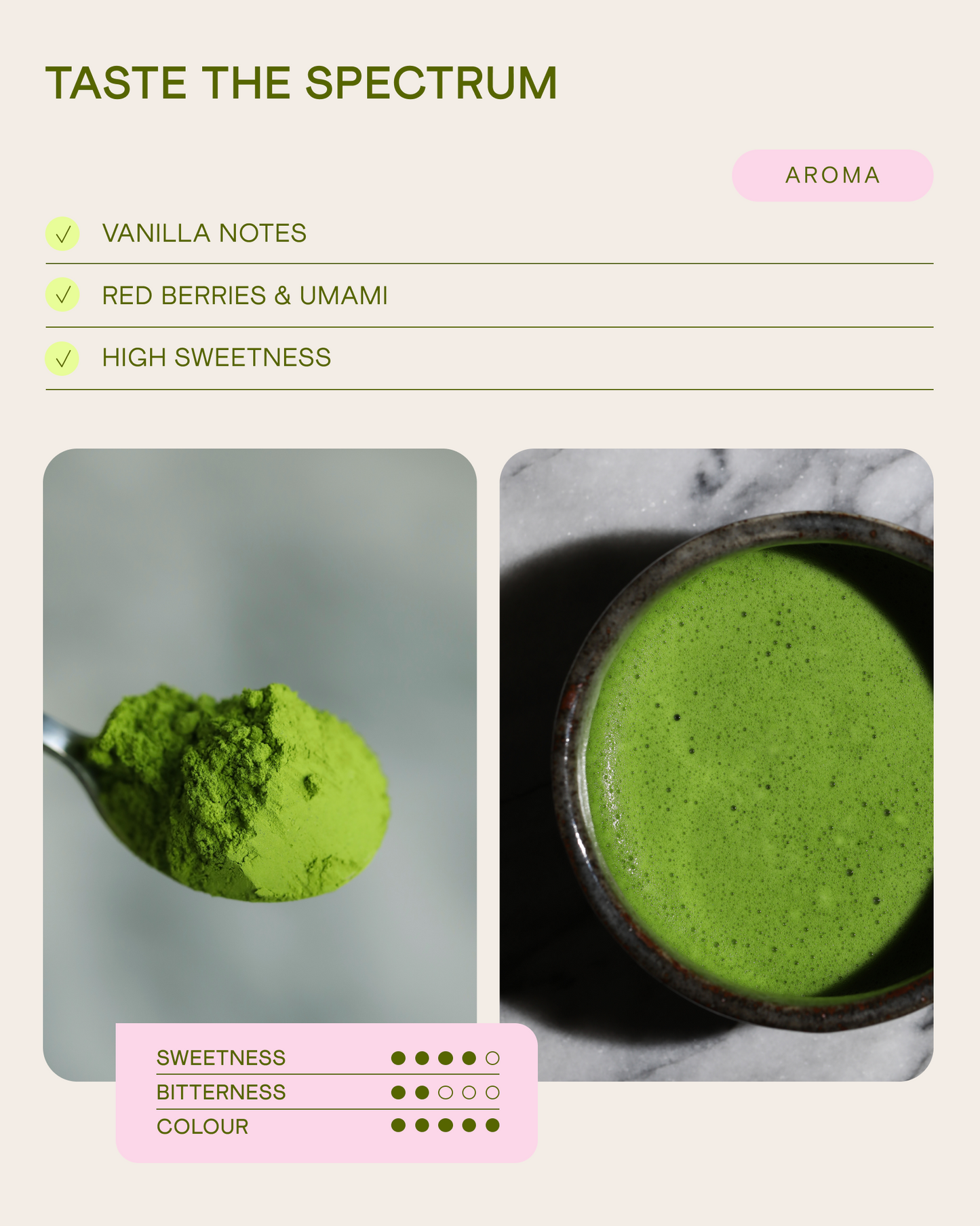 Ceremonial Matcha Uji no Shiro 40g, Uji, Kyoto
