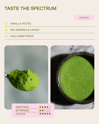 Ceremonial Matcha Uji no Shiro 40g, Uji, Kyoto