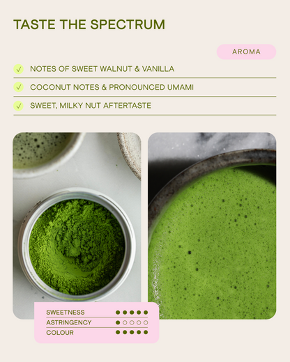 High Ceremonial Matcha Uji Shio 20g. Yanoen Uji Kyoto