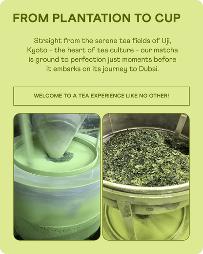 Ceremonial Matcha Uji Shiro 50g