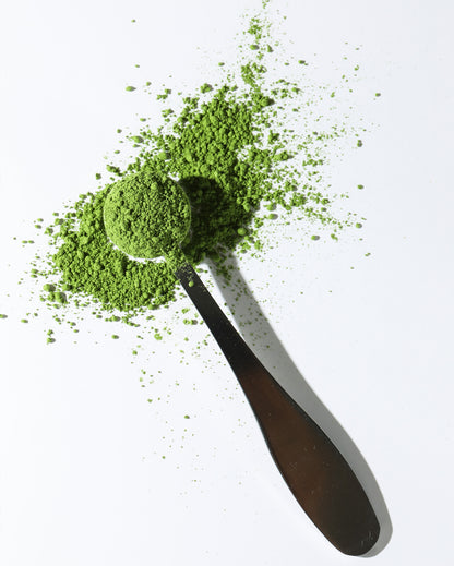 Matcha measuring spoon filled with a bright green matcha powder